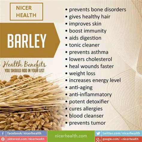 barley malt health benefits